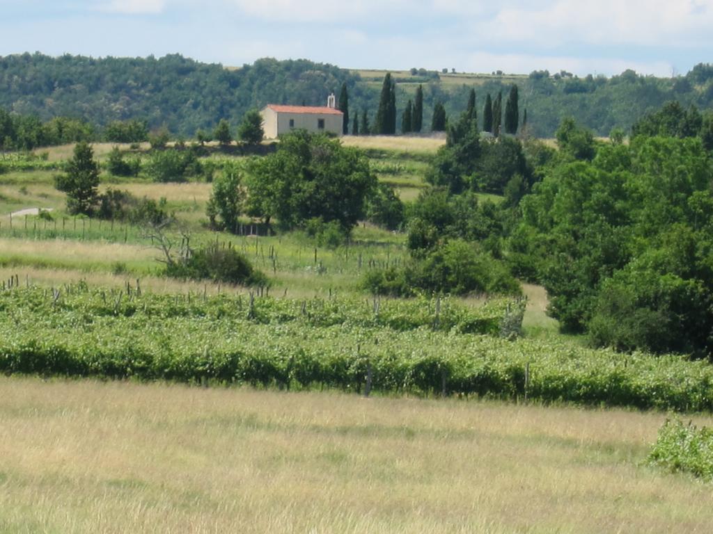 Flori Adriatic Villa Marezige Rum bild