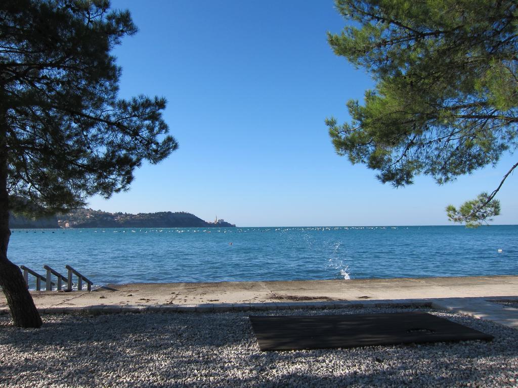 Flori Adriatic Villa Marezige Exteriör bild